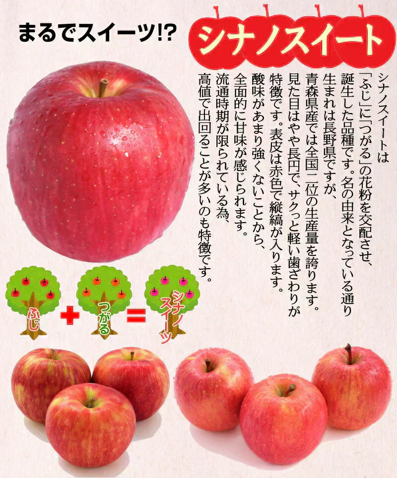 青森県産 りんご シナノスイート 5kg箱 【訳あり】　★スイート 訳 5kg 箱