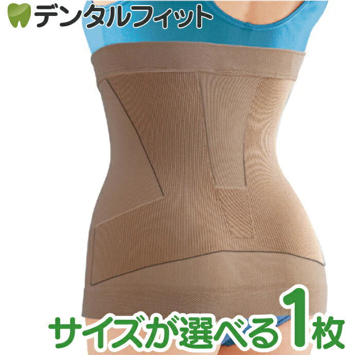 菊池式 腰楽いきいきサポーター (レギュラー/ラージ）1枚