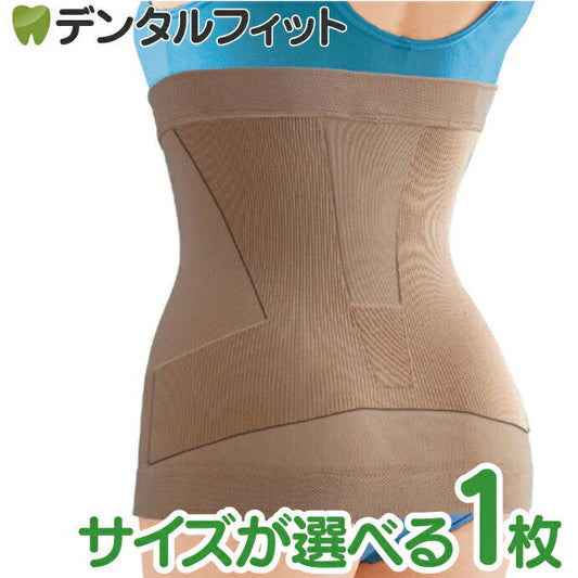 菊池式 腰楽いきいきサポーター (レギュラー/ラージ）1枚