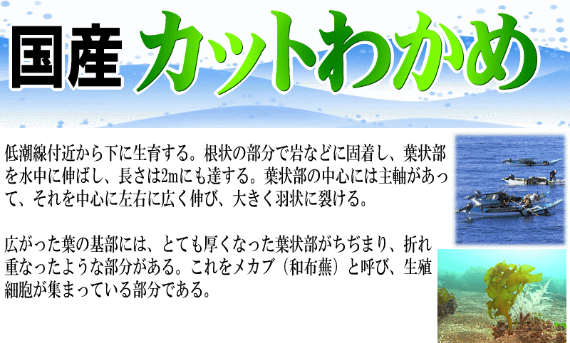 【3人シェア買いでお得】若布 カットわかめ 40g×2袋 国産 乾燥 お試しセット 送料無料