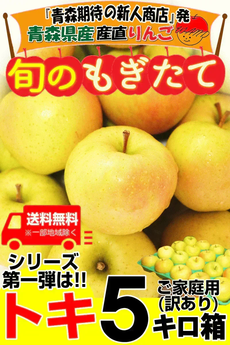 10月9日～発送！青森県産 りんご トキ 5kg箱 家庭用/訳あり ★トキ 家訳 5kg箱
