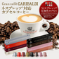 GARIBALDI（ガリバルディ） イタリア産 ネスプレッソ 互換 カプセルコーヒー セレツィオーネ×10箱（100カプセル）【1〜2営業日以内に出荷】[送料無料]エスプレッソ nespresso コーヒー 珈琲