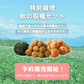 【終了】【10月上旬より順次出荷予定】特別栽培 秋の収穫セット 4kg　キタアカリ・玉ねぎ(2Ｌ～Ｍ混)/各1.5kg、かぼちゃ(約1.2kg)/1個