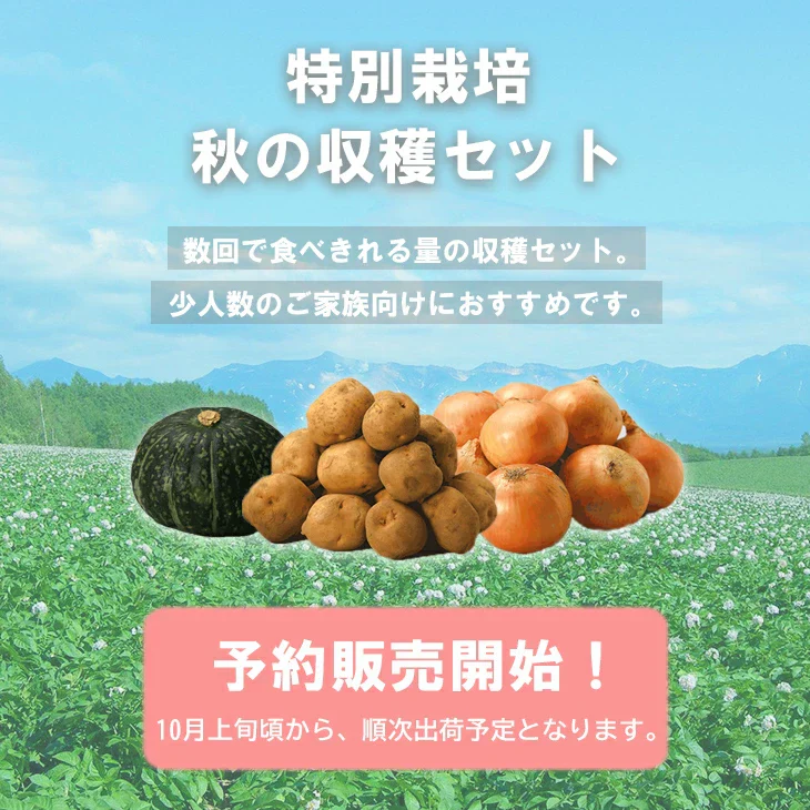 【終了】【10月上旬より順次出荷予定】特別栽培 秋の収穫セット 4kg　キタアカリ・玉ねぎ(2Ｌ～Ｍ混)/各1.5kg、かぼちゃ(約1.2kg)/1個