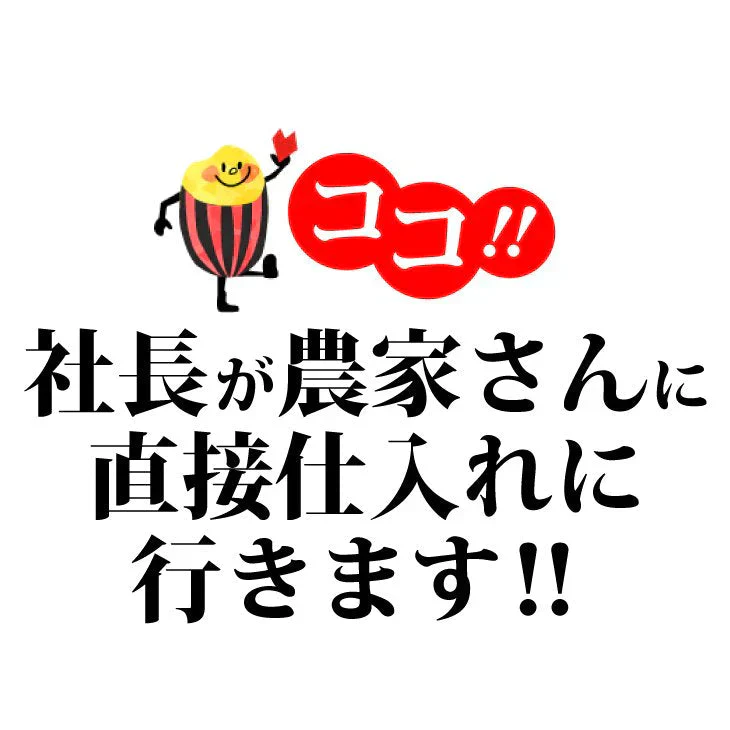 【新米】こしひかり　R5年埼玉県産　30ｋｇ