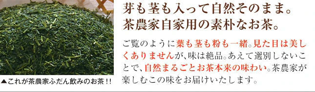 【2個セット】日本橋いなば園 静岡深蒸し茶 荒茶づくり 100g ネコポス メール便送料無料