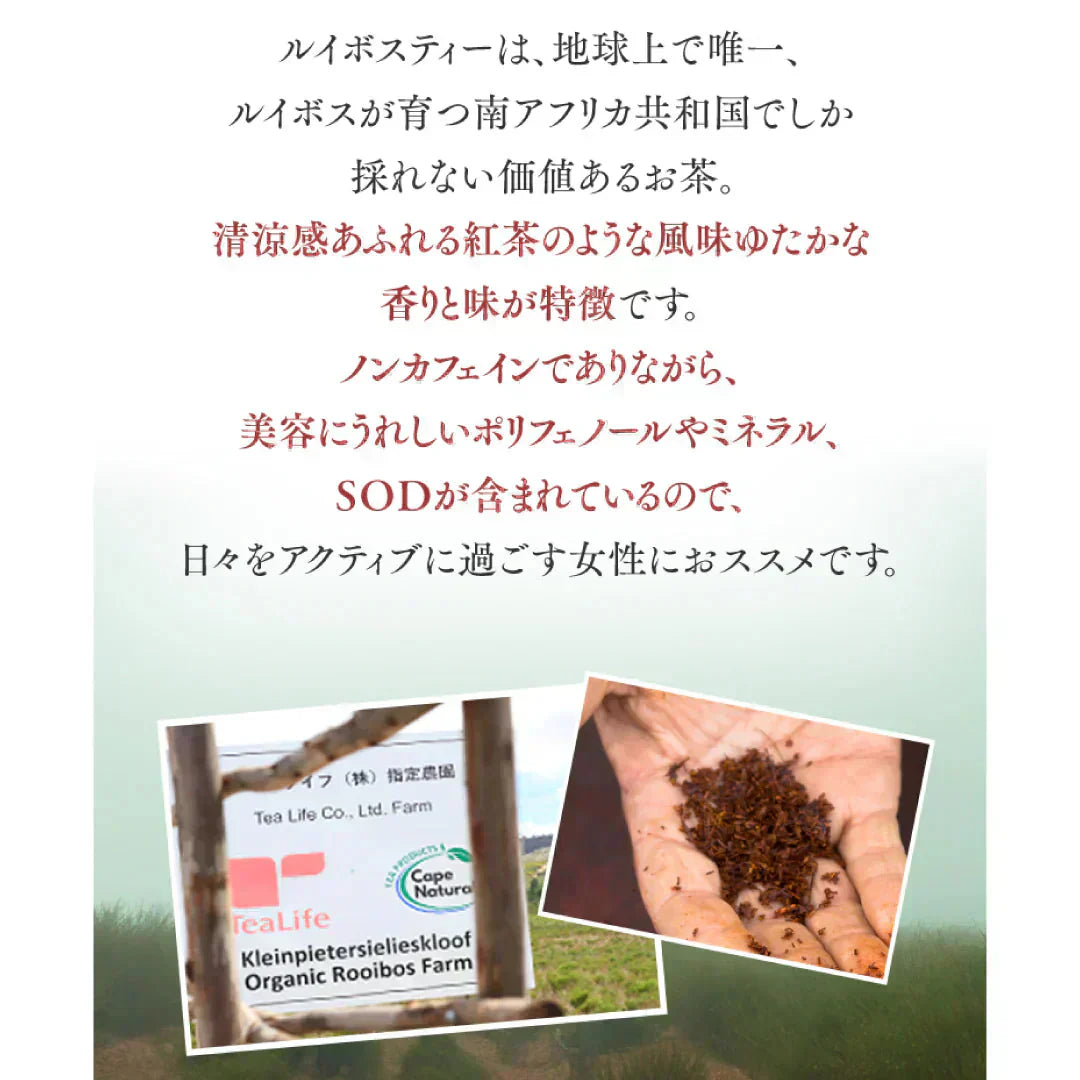 プレミアムオーガニックルイボスティー ポット用７個入（ ルイボス ルイボス茶 水出し ティーバッグ ティーパック ハーブティー 美容 お茶 ノンカフェイン ）【カウシェファーム収穫対象商品】