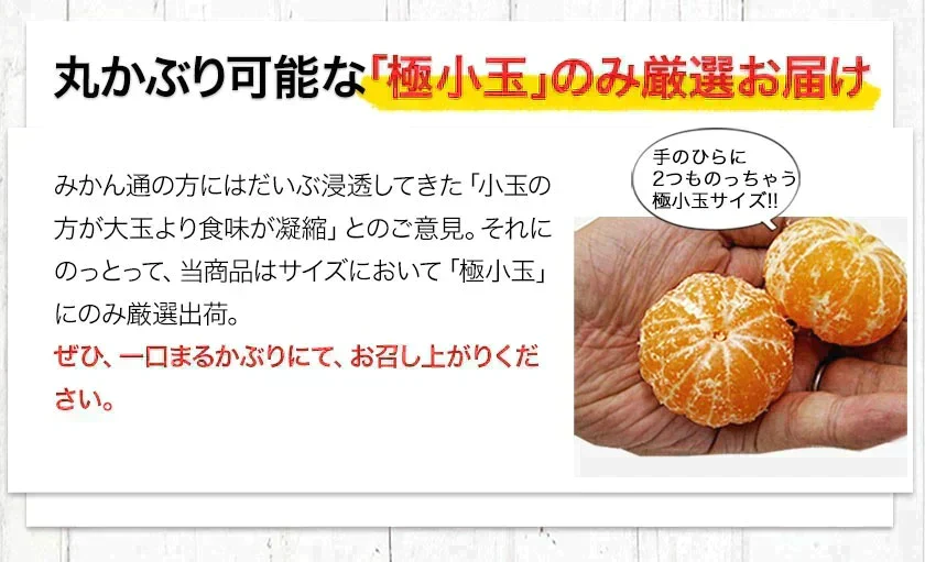 小玉 みかん 送料無料 訳あり みかん 小粒 1.5kg 家庭用 箱買い 果物 小粒 熊本 極早生 柑橘 九州 訳アリ だけど 小玉 で 甘い 蜜柑 わけあり 《9月末-10月下旬頃より発送予定》