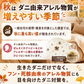 そしてダニもいなくなった… 2個セット 9×9cm 6枚入×2個 合計12枚 ダニ対策シート 無香性 日本製 置くだけ ダニシート 防ダニシート 収納 クローゼット 押し入れ 引き出し ソファ ベッド 寝具 靴箱 すき間にも入れやすい ダニ由来アレル物質 消臭 抗菌 交換目安約2ヶ月