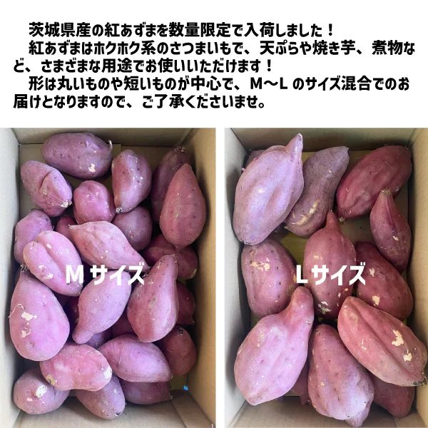茨城県産 紅あずま 約４kg M〜Lサイズ 短丸規格 さつまいも サツマイモ 焼き芋 国産 さつま芋 ベニアズマ