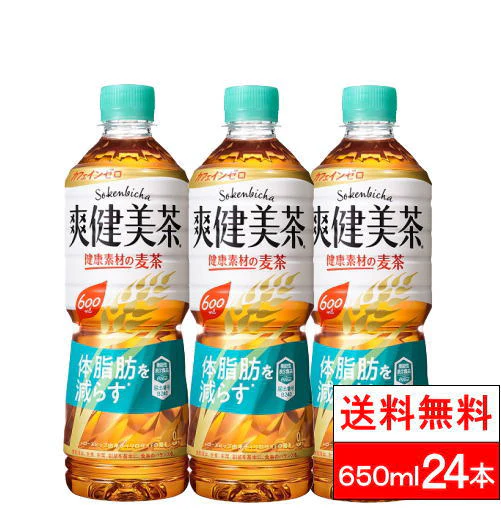 【全国配送対応】【1ケース】【送料無料】【コカ・コーラ】爽健美茶 健康素材の麦茶 600mlPET 24本 機能性表示食品　届出番号：B240