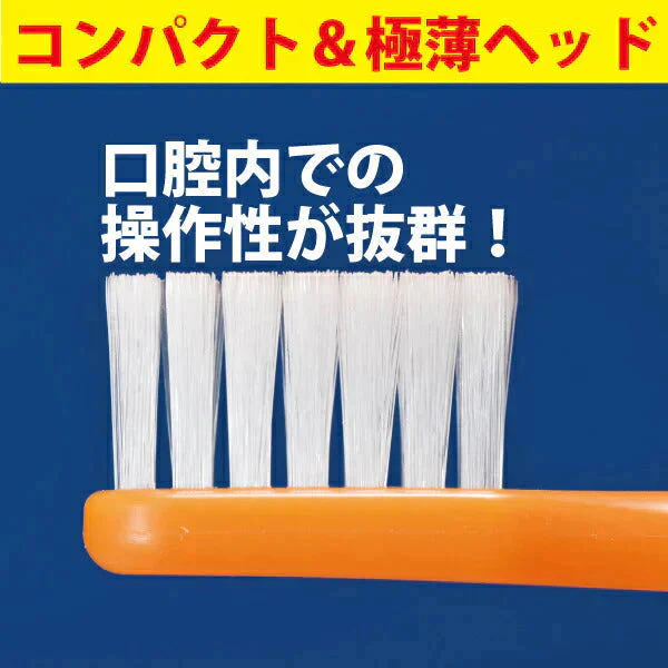 Ci702 歯ブラシ 極薄ヘッド (ラウンド毛) Mふつう 5本 《歯周病予防3点セットのおまけ付＞コンクール F(7ml)＋ジェルコート F(約5g)＋コンクールリペリオ(約5g)》【メール便送料無料】