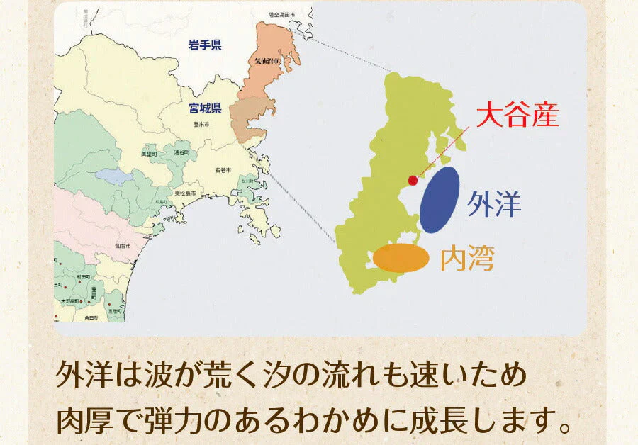 【2個セット】日本橋いなば園 三陸産カットわかめ 40g メール便送料無料