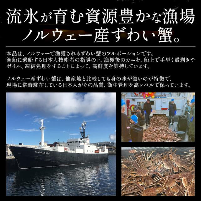 ズワイガニ ボイル ポーション 900g  むき身 ずわい蟹 カニ足 蟹 かに カニ ズワイ蟹 ズワイ ずわい カニしゃぶ しゃぶしゃぶ用 かに足 蟹足 冷凍 海鮮 グルメ 食べ物 送料無料 プレゼント