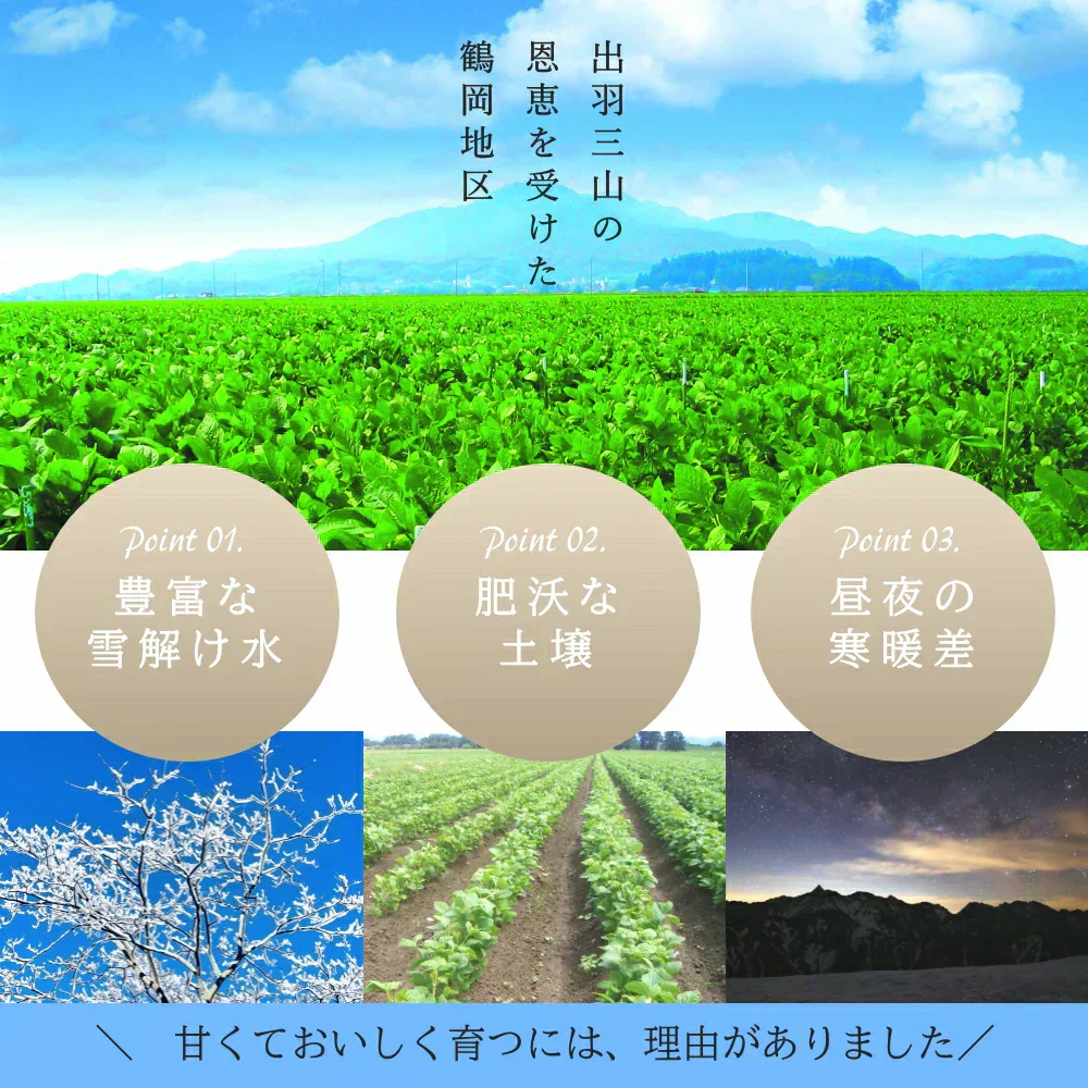 【8月中旬-9月上旬頃発送】だだちゃ豆 訳あり 2kg 訳あり 大盛り ご家庭用 えだまめ エダマメ 産直 山形産 ワケアリ 大盛り たっぷり 食べ放題