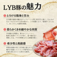 【ルイビ豚（LYB豚）3種セット】2kg（焼肉もも1kg・小間500g・挽肉500g）富士山麓産ブランド豚
