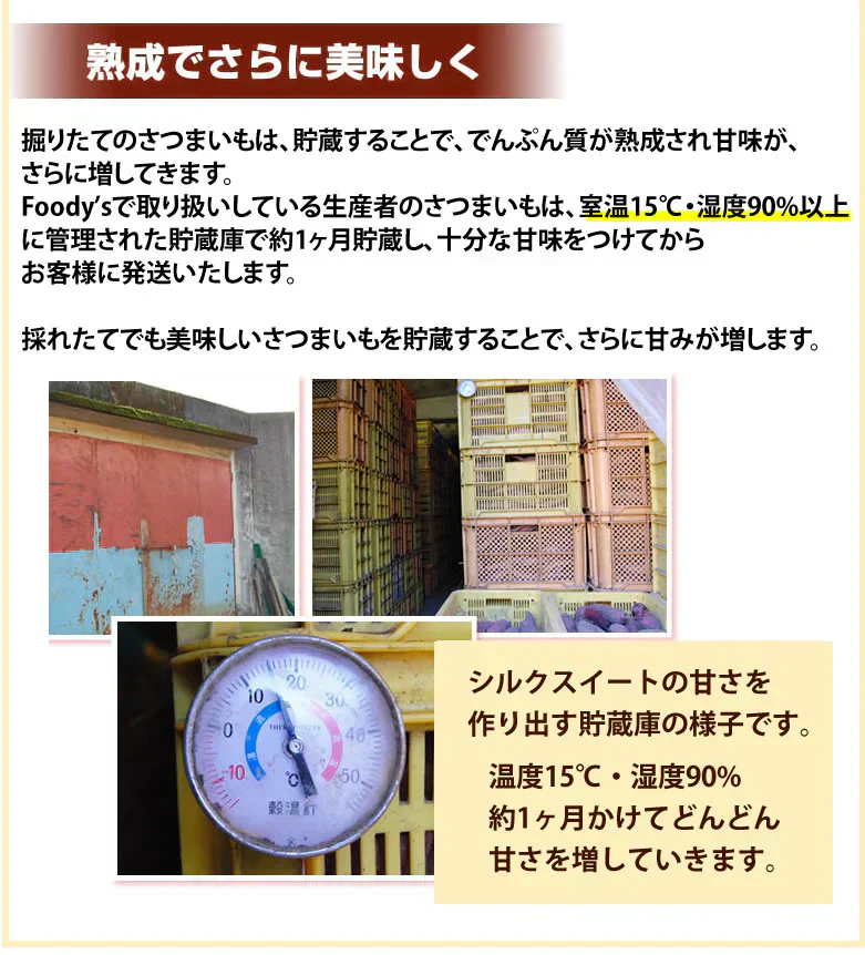 【10月下旬～11月上旬頃より順次出荷】さつまいも シルクスイート 訳あり 10kg 箱込（内容量9kg＋補償分500g) 送料無料 熊本・宮崎県産 サツマイモ 春こがね 紅まさり 焼き芋 芋 いも