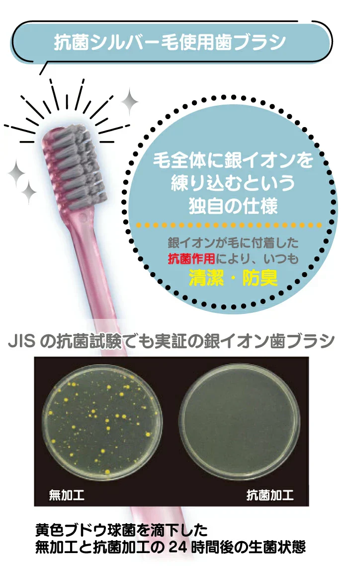 歯ブラシ Ci PRO Ag 超先細+フラット毛 / Mふつう 5本入【メール便送料無料】