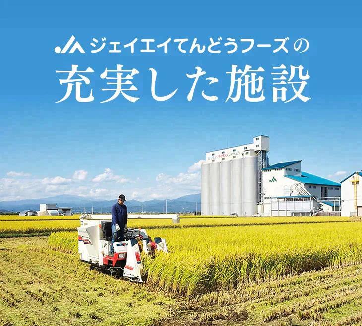 新米 令和5年産 山形県産 はえぬき 精米 10kg(5kg×2) 送料無料※一部地域を除く