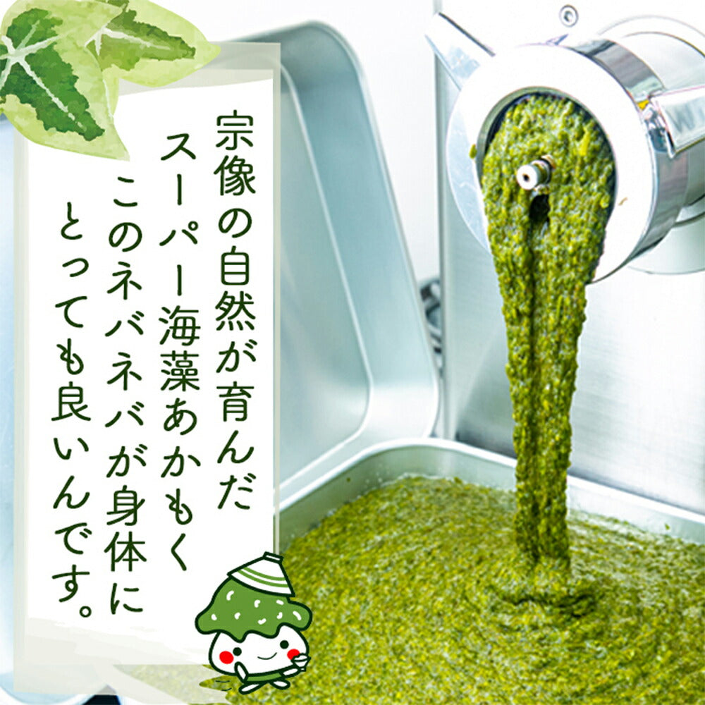 玄界灘産あかもく 10個セット【送料込み】
