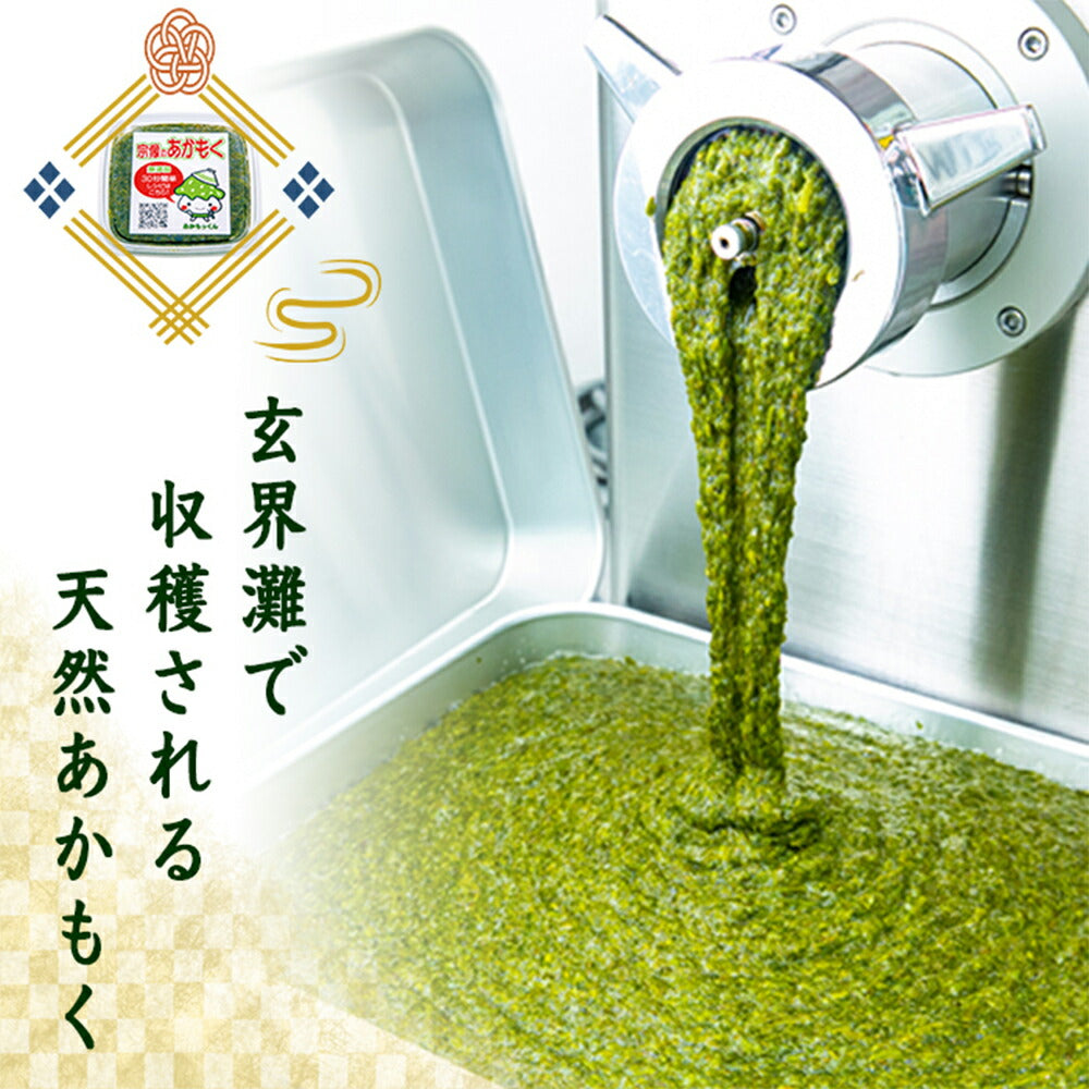 玄界灘産あかもく 15個セット【送料込み】