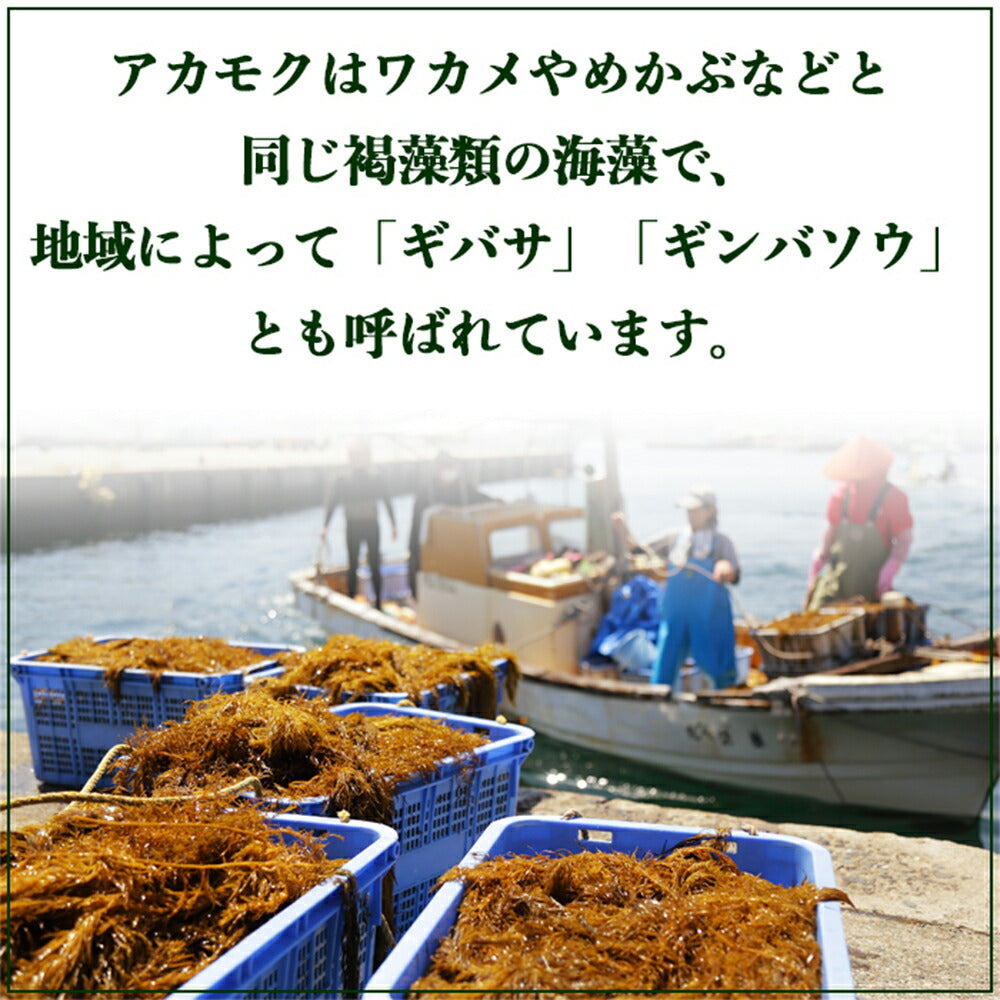 玄界灘産あかもく 30個セット【送料込み】