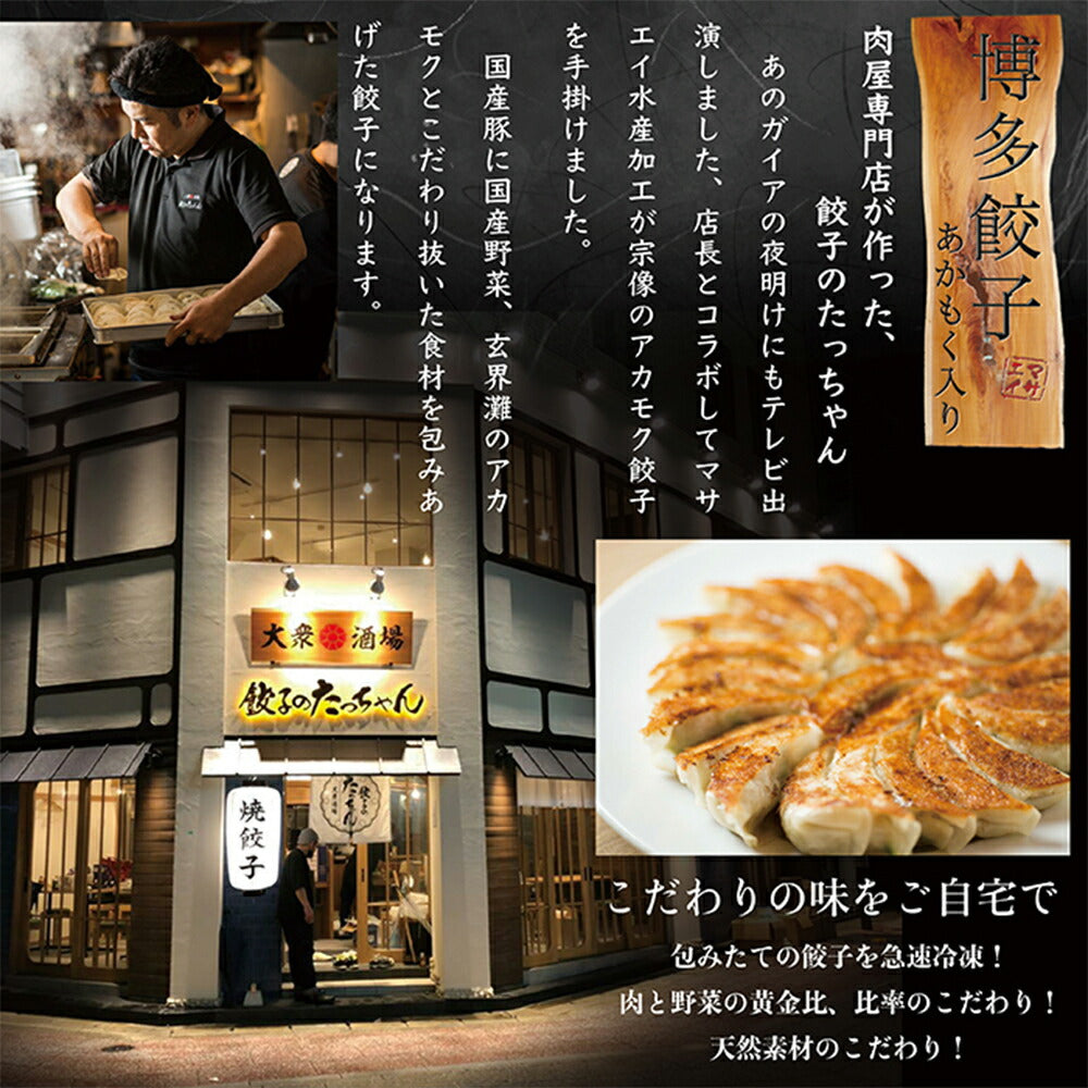 玄界灘産・あかもく入り博多餃子 5個【送料込み】