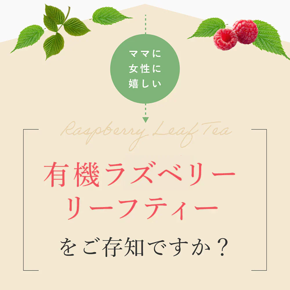ラズベリーリーフティー 有機JAS認定 60包 無農薬 オーガニック シングルハーブ マタニティー 妊婦 安産 出産 産後ケア PMS 女性 お茶 ラズベリーリーフ ハーブティー ティーバッグ ノンカフェイン 出産準備