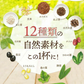 【最短当日出荷】★水出しOK★ルイボスティー　12素材のよくばりブレンド 100個入 （ 大容量  ブレンドティー ノンカフェイン はと麦 玄米 黒豆 とうもろこし ホット アイスティー ティーバッグ ティーパック )