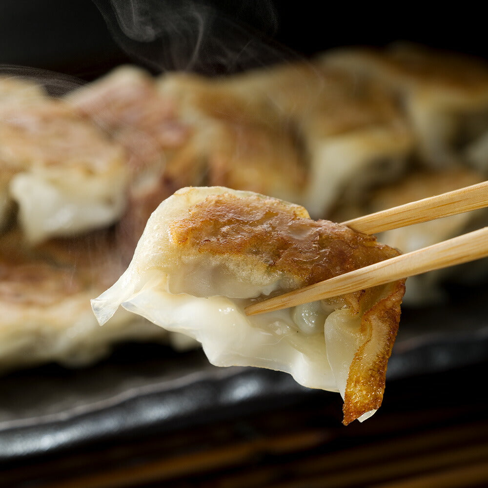国産豚肉100％使用 カリっとジューシー【九州 ひとくち肉ぎょうざ】 便利な小分けタイプ（9個入×12パック）
