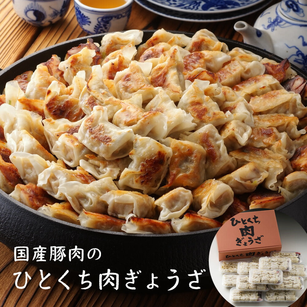 国産豚肉100％使用 カリっとジューシー【九州 ひとくち肉ぎょうざ】 便利な小分けタイプ（9個入×12パック）