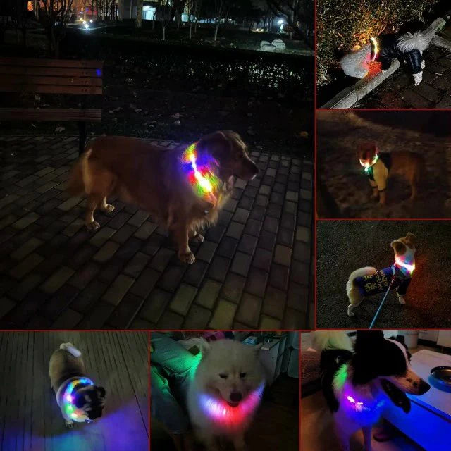 当日発送★光る首輪 犬用 レインボー 発光首輪 充電式 usb充電式 装着簡単 柔らかい 軽量 サイズ調整可能 ペット 犬 猫 視認性 4モード w494F(グリーン)