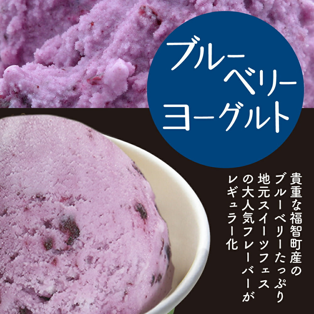 【3人シェア買いでお得】ふくち☆リッチジェラート ミドルセット 9個入【お届け不可地域：北海道・沖縄】