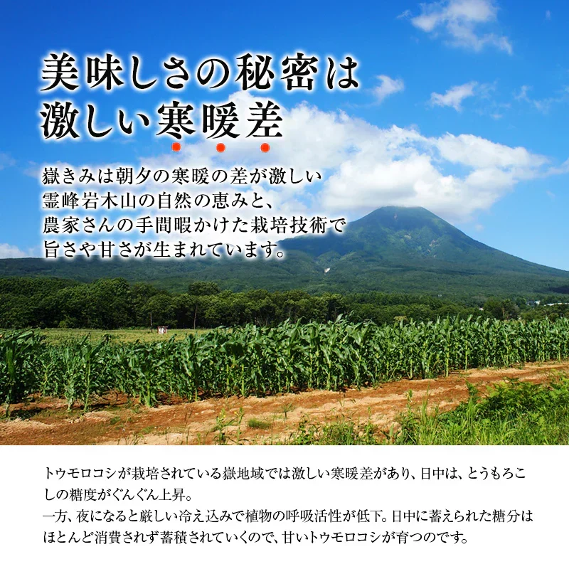 【朝採&産地直送！】青森県産 プレミアムとうもろこし 嶽きみ 24本セット とうもろこし だけきみ トウモロコシ 野菜