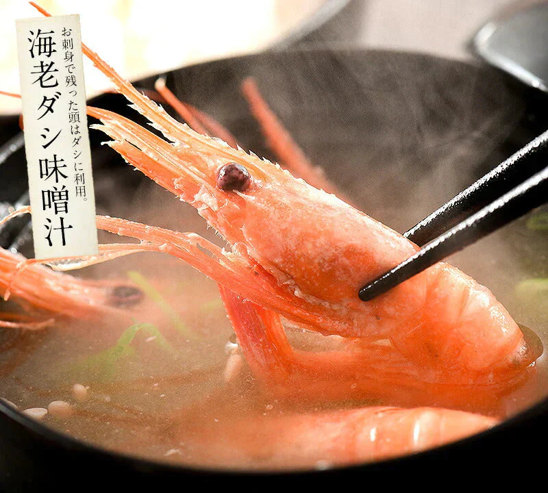 越前産 甘えび 甘エビ 子持ち 500g（約40尾入り） 冷凍エビ 冷凍えび 冷凍海老 刺身用 天然 食べ物 海鮮 魚介 水産 冷凍 祝い お徳用 国内 魚介類 美味しいお取り寄せ グルメ 贈り物 母の日 プレゼント ギフト  母の日思いの 実用的