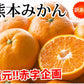 みかん 10kg 送料無料 訳あり 箱込（内容量9kg＋補償分500g) 無選別 熊本みかん 極早生みかん 早生みかん 温州みかん蜜柑 ミカン
