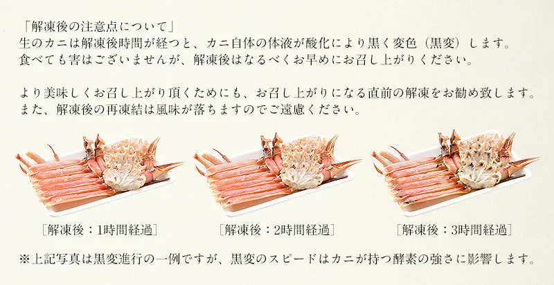 ズワイガニ お刺身 OK 生 カット済み 600g（総重量750g）