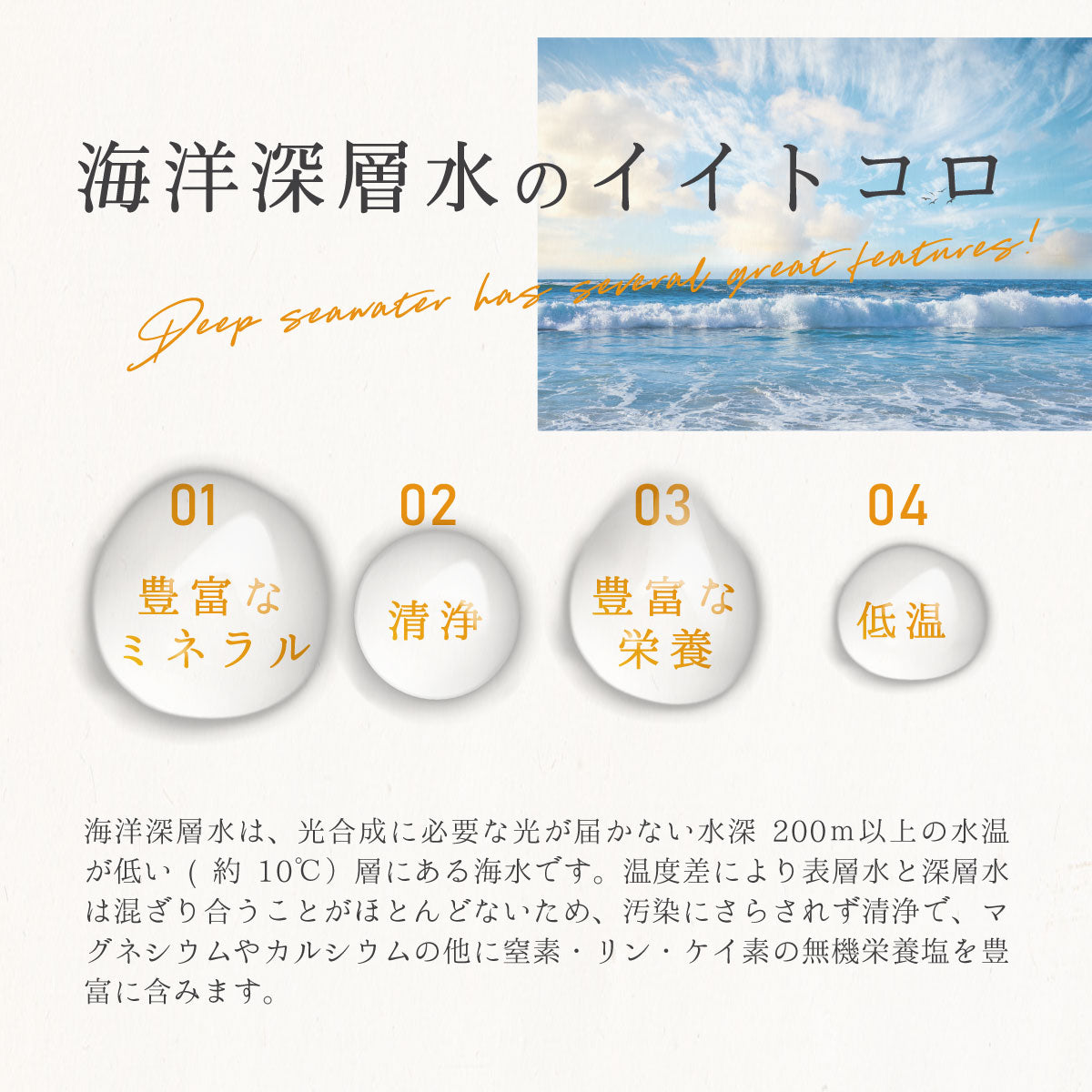濃縮マグネシウム 500ml 2本