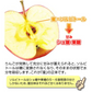 りんご 蜜入りサンふじ 山形産 5kg （発送予定：12月上旬より）