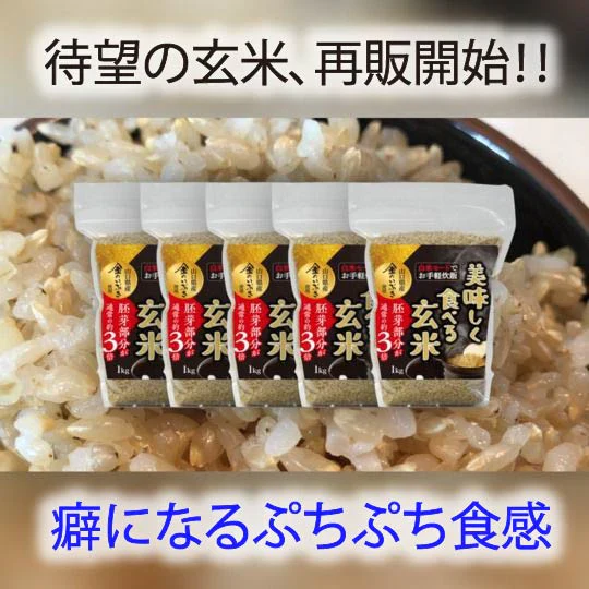 5kg 山口県産 美味しく食べる 玄米