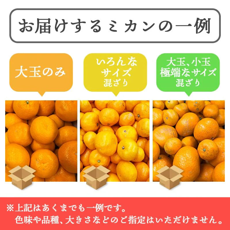 [みさわのやさい]  有田みかん 10kg 訳あり みかん < 老舗八百屋が厳選した > 和歌山県産 ご家庭用 不揃い 蜜柑
