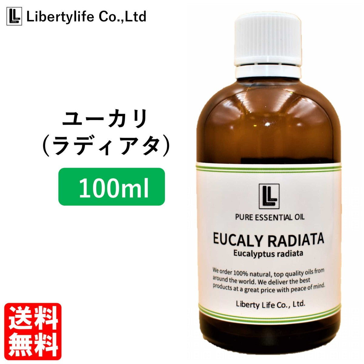 アロマオイル ユーカリ(ラディアタ) 精油 エッセンシャルオイル  (100ml)