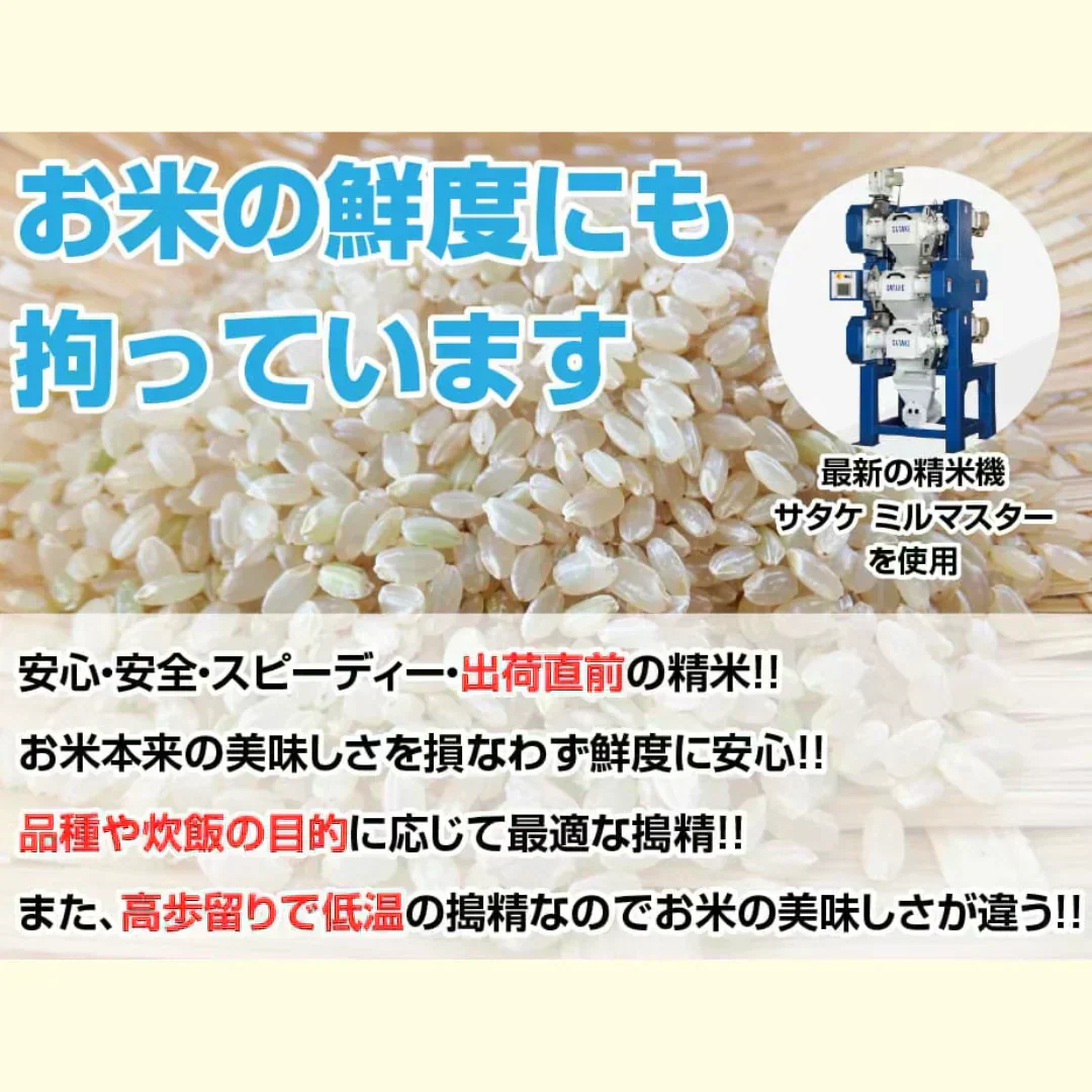 令和7年産入り 国産ブレンド米 30kg （10kgx3袋）