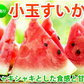 すいか 送料無料 訳あり 小玉すいか 2玉 約2～2.5kg スイカ 熊本すいか お取り寄せ すいか 西瓜 ひとりじめ 果物 フルーツ