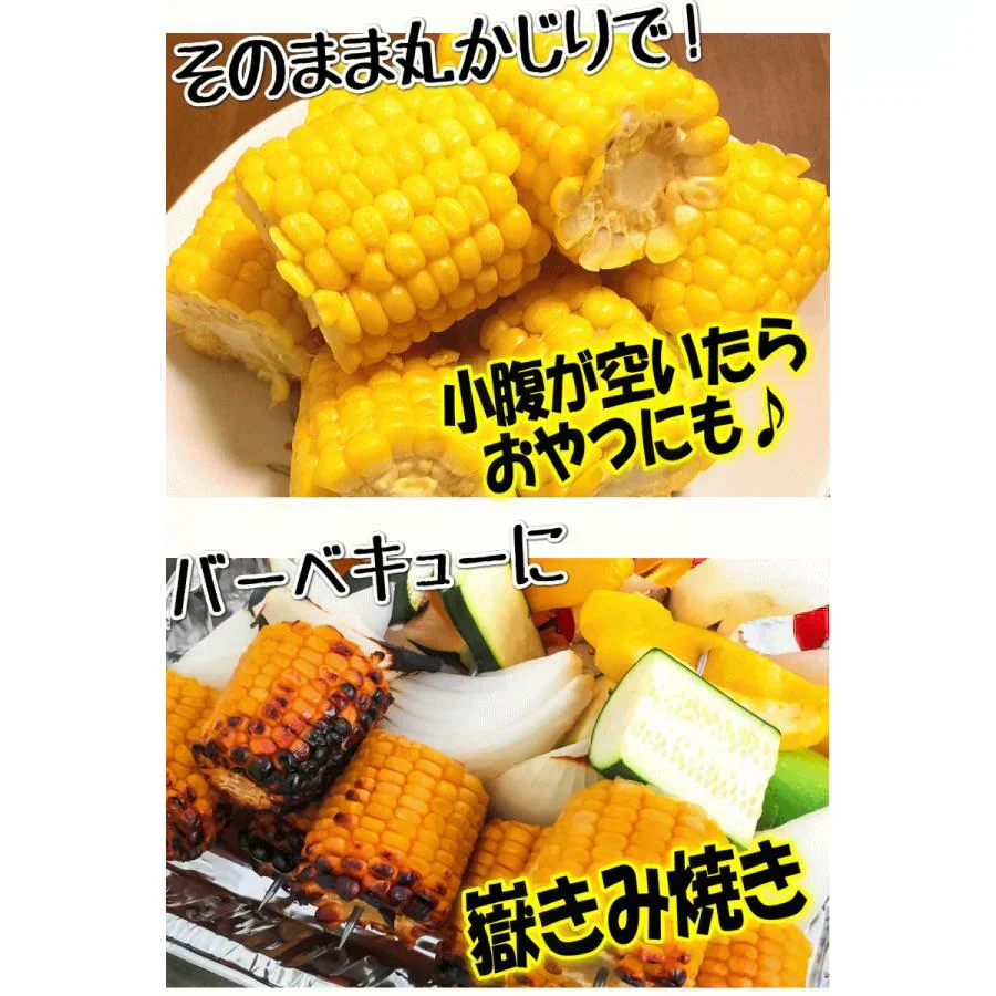 青森県産 嶽きみ 5本セット 真空フレッシュパック
