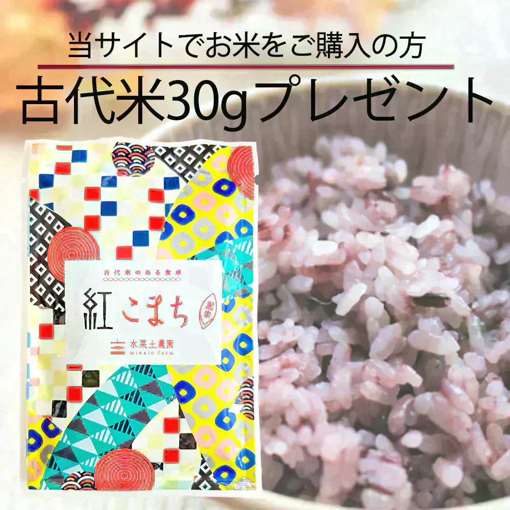 秋田県産 あきたこまち 精米10kg（5kg×2袋）令和7年産 【古代米プレゼント付き】