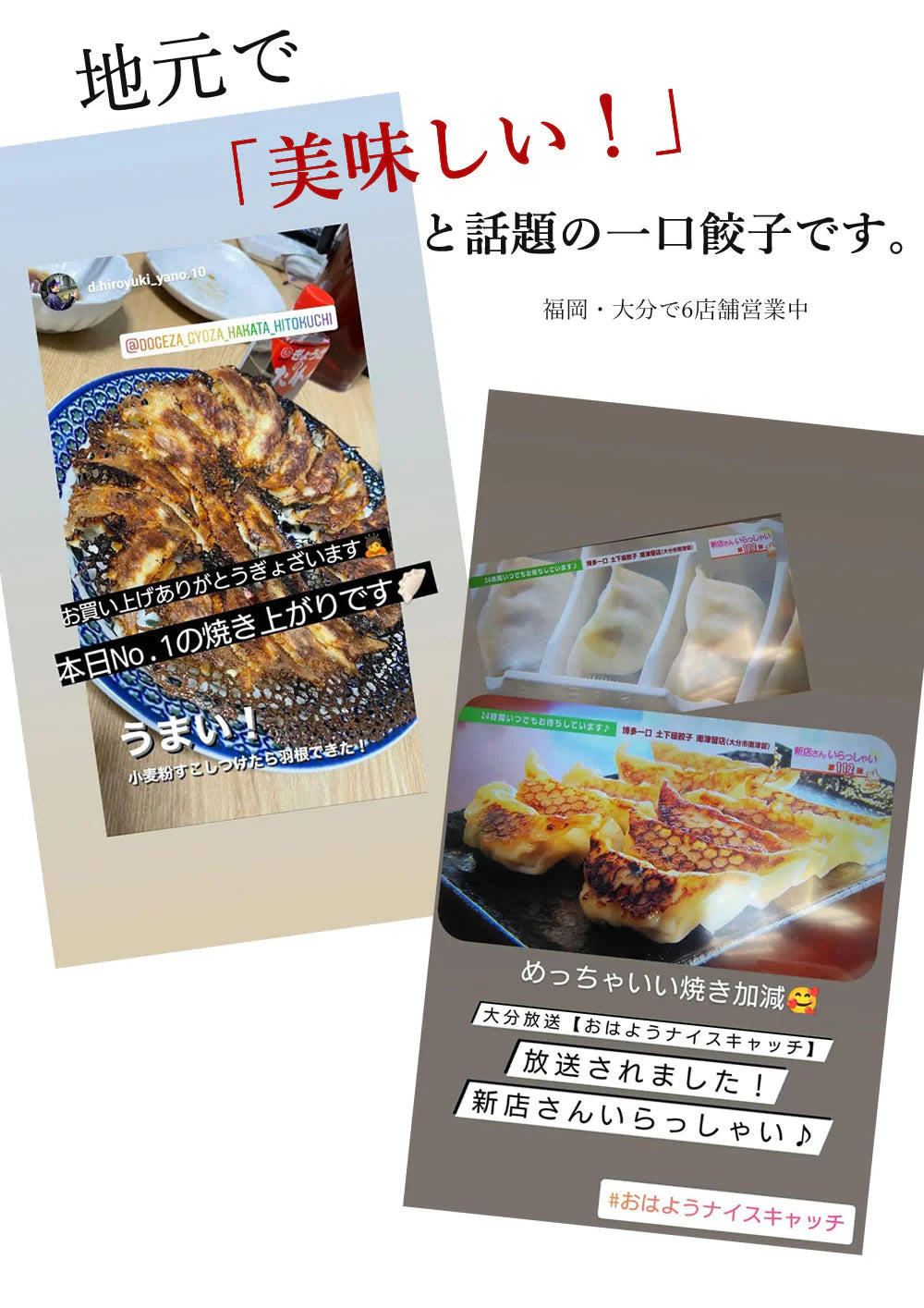 【超シェア買い祭】100個 (20個×5パック) 土下座餃子 博多ひとくち餃子