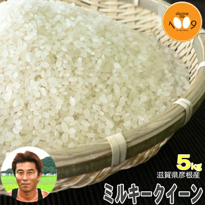 新米 滋賀県彦根産 ミルキークイーン 白米 5kg 西村悟 令和7年産
