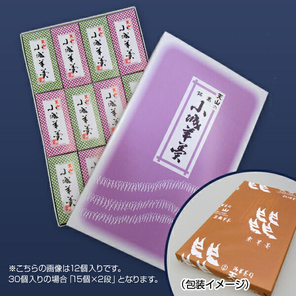 佐賀県名産品 和菓子 一口羊羹 50g 30本入