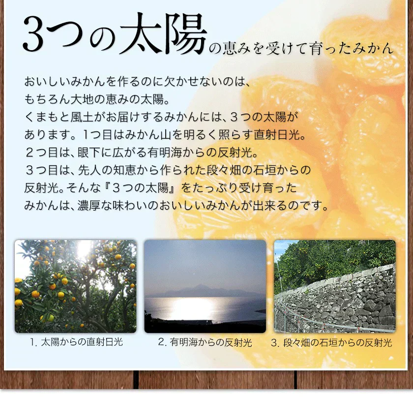 産地直送 熊本県産 みかん 訳あり 送料無料 熊本ミカン 大玉 小玉 不選別 規格外 果物 柑橘 九州 訳アリ 蜜柑 みかん 3-7営業日以内に発送予定（土日祝除く）